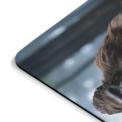 Mousepad Funny Cat with Bigfoot Toilet Paper Scene Hilarious Animal Meme Design Unique Sasquatch Humor Desk Accessory Cool Forest Style Computer Mouse pad Novelty Gaming Mouse Mat Creative - color: Cat with Bigfoot