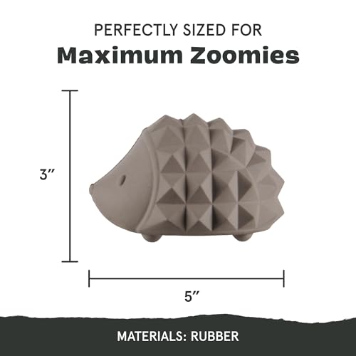 BarkBox Sven The Hedgie Super Chewer Dog Toy - Large | Natural Rubber, Wacky Bounce & Rippled Texture | Durable Dog Toy for Aggressive Chewers, Medium to Dogs - color: Sven the Hedgie - Large