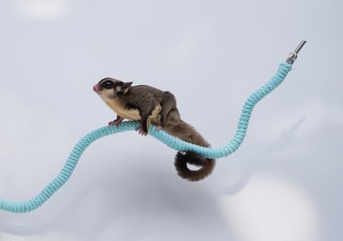 Sugar Glider Cage Accessories, Ideal Climbing Toys Supplies for Tank Habitat
