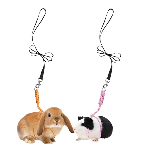 Handmade Figure 8 Harness and Leash for Ferrets/Guinea Pigs/Rats | Adjustable, Lightweight & Safe | Fits Small Animals: Bunnies/Bearded Dragons/Chinchillas/Reptiles/Birds/Squirrels/Rabbits - color: Orange+Pink