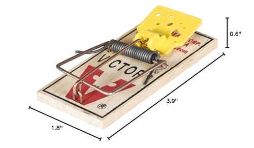 Victor Mouse Traps, 12-Pack Plastic Pedal Snap Traps, FSC Certified Wood | Indoor Rodent Control Reusable Mousetraps for Mice Pest Control Effective Instant Kill - style: 12 Plastic Pedal Traps