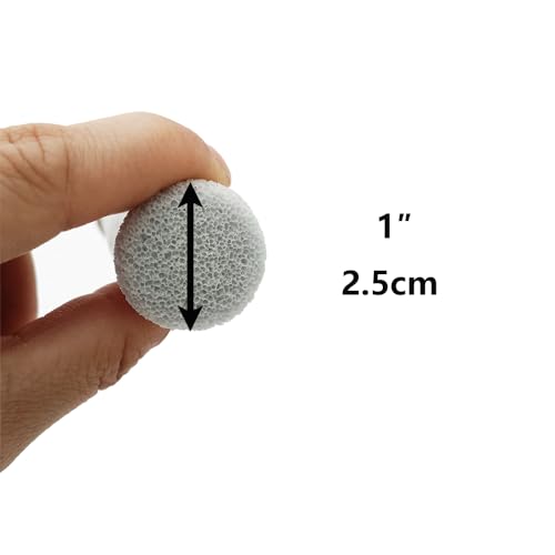 Shelltech Pumice Perch Lava Ledge for Birds, Climbing Ledge Teeth Grinding Beak Grinding Block Perch Stand for Hamsters Chinchillas Parrots (Natural Color, Medium- 2 Pack)