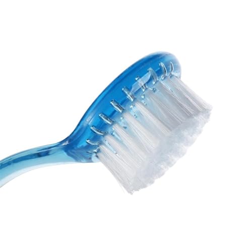 3 Pcs Hamster Brushes, Mini Hedgehog Cleaning Brush Portable Hamster Hair Grooming Accessories Soft Pet Massage Comb for Bathing