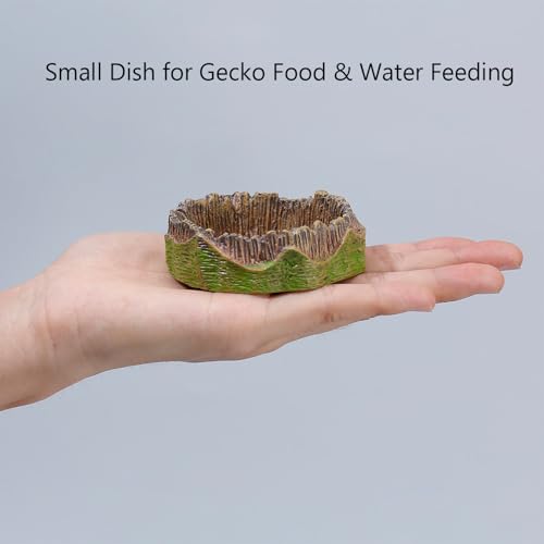 Small Reptile Feeding Dish 2Pack Gecko Food Water Dispenser Worm Bowl with Resin Volcano Decor for Terrarium Leopard Crested Gecko Juvenile Bearded Dragon Lizards Cricket Dubia Feeder
