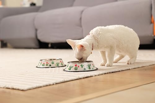 Stainless Steel Dog Bowls, Food and Water Non Slip Anti Skid Stackable Pet Puppy Dishes for Small, Medium and Large Dogs (2 Pack) - color: Cactus, size: ¾ Cup/7 oz