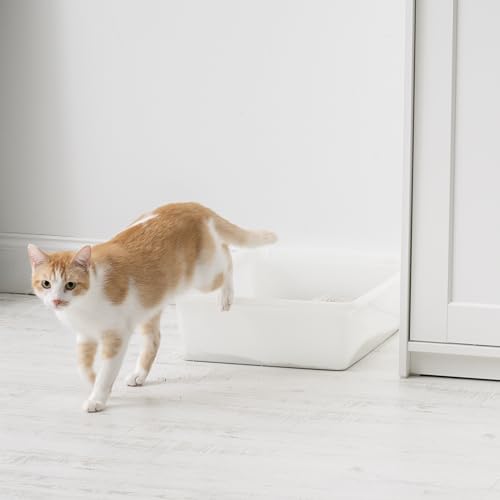 IRIS USA Large Cat Litter Box, Pearl | Training Cats, Quick Access Design, Visible Level Check, Simple Pan Style, Fastest Cleaning, Maximum Airflow