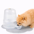 Pet Water Dispenser for Dogs and Cats, 67.6 oz – Gravity-Fed Water Bowl for Clean Drinking, Prevents Wet Fur, BPA-Free Polypropylene, (Clear) - color: Clear