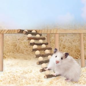Pssopp Hamster Climbing Ladder, Premium Adjustable Wooden Activity Playground Platform for Hamster Cage Small Pet Natural Wood 29 x 20 x 15.5 cm 1 Set