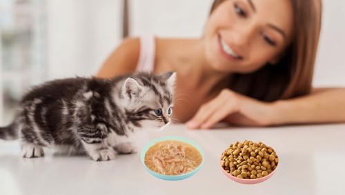 Whisker Friendly Cat Bowls 8pk Shallow Wide Pet Dishes Kitten Ferret | 8pk shallow wide whisker-friendly cat dishes, safe for kittens ferrets small pets, available in blue green pink purple - color: 8 pcs multicolors