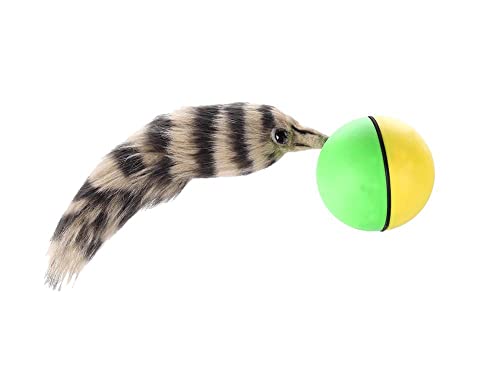 The Original Weasel Ball, Interactive Motion Toy