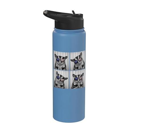 Sugar Glider 4th of July US American Flag Patriotic Stainless Steel Insulated Water Bottle - color: Light Blue