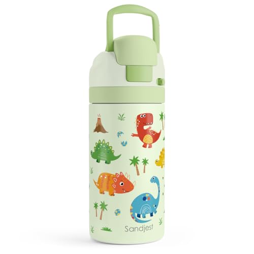 Dinosaur Kids Insulated Stainless Steel Water Bottle 16 Oz, Travel Tumbler for School, Sports for Boys, Girls, Birthday, Back To School - color: Dinosaur