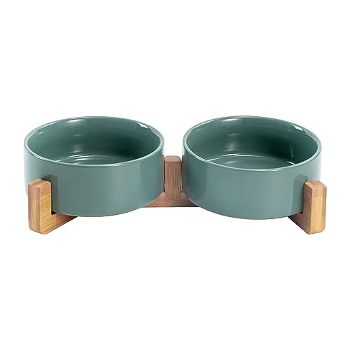 SPUNKYJUNKY Ceramic Dog and Cat Bowl Set with Wooden Stand, Modern Cute Weighted Food Water Set for Small Size Dogs (13.5OZ) & Medium Sized Dogs (28.7OZ) & Cats (1.7 Cups, 2 × Light Green) - color: Light Green × 2, size: 1.7 cups