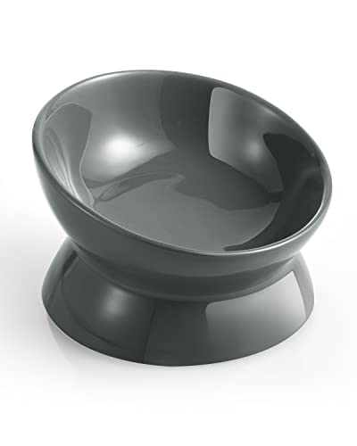 LoeJan Elevated Cat Food Bowl, 5 Oz Ceramic Raised and Tilted Water Bowl, Anti Vomiting and Protect Pets' Spines Dishes for Small Dog, Fat Faced Cat, Kitten (Gray, 1 Pack) - color: Gray