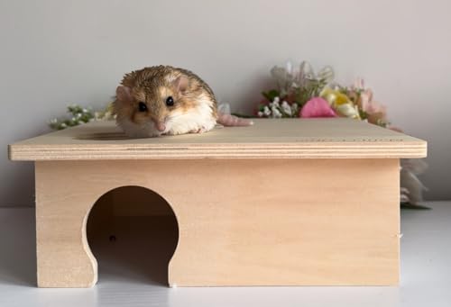 Chamber Box - Fun & Unique Cage Accessory for Dwarf Hamsters, Golden Hamsters, Degus, Gerbils and Other Small Animals. (Large) - size: Large
