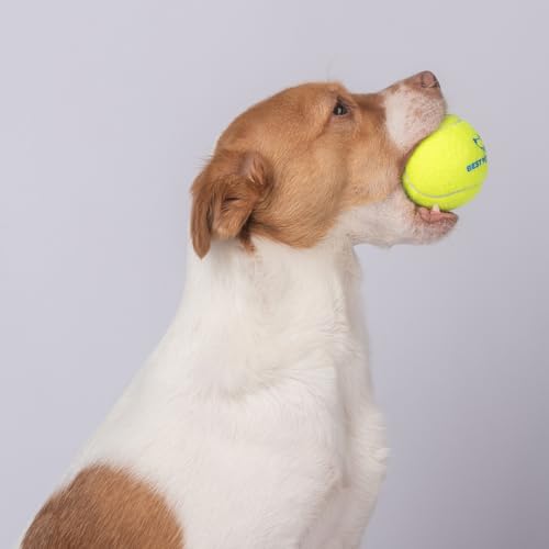 Best Pet Supplies Interactive Squeaky Dog Chew Toy, Ideal Dog Toys for Chewers, Small, Medium & Large Dogs, and Fetch Lovers - Tennis (Yellow), Large (Pack of 4) - color: Tennis (Yellow), size: Large