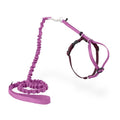 PetSafe Come with Me Kitty Harness and Bungee Cat Leash, Dusty Rose, Medium | Adjustable 2-Point Fit Applies Gentle Pressure to Shoulders, Not Neck, for Small & Average Cats with 10.5 in - 14 in Girth - color: Dusty Rose, size: Medium (Pack of 1)