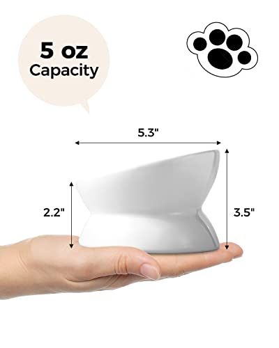 LoeJan Elevated Cat Food Bowl, 5 Oz Ceramic Raised and Tilted Water Bowl, Anti Vomiting and Protect Pets' Spines Dishes for Small Dog, Fat Faced Cat, Kitten (White, 1 Pack) - color: White