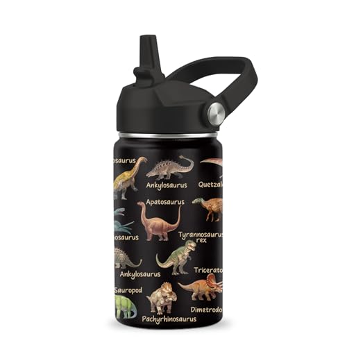 Dinosaur Water Bottle, Dinosaur Gifts, 12 oz Water Bottle with Straw | Stainless Steel Vacuum Insulated Bottle, Leakproof, Dinosaur Cup Gifts for for Boys - color: Dinosaur