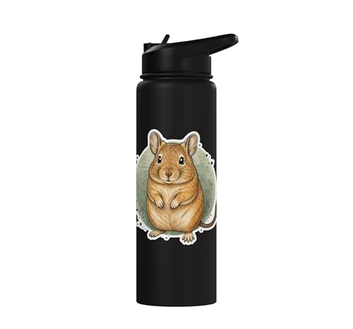 Degu Watercolor Circle Stainless Steel Insulated Water Bottle - color: Black