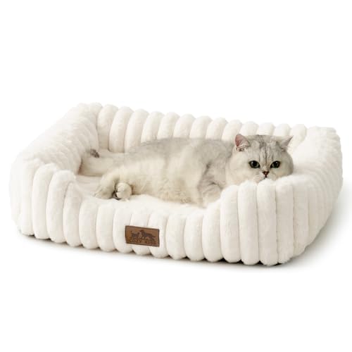 Orthopedic Dog Bed for Small Dogs & Cats - Washable Rectangle Pet Bed with Anti-Slip Bottom, Soft Calming Cat & Puppy Bed for Indoor Pets (25"x21"x6", Cream) - color: Cream, size: 25.0"L x 21.0"W x 6.0"Th