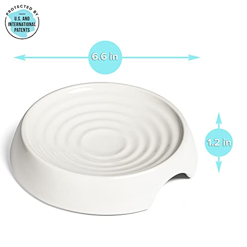 CatGuru Cat Bowls, Whisker Friendly Food Bowl for Indoor Cats, Reliefs Whisker Fatigue, Wide Kitten Dish, Non Slip Pet Dishes, Shallow Pet Plates (Ceramic (Pack of 2)) - color: Ceramic, White, size: Dish - Set of Two