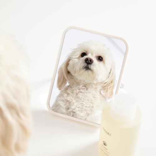 OUAI Fur Bébé Pet Shampoo - Mercer Street Scent (16 Fl oz) | Cat & Dog Shampoo for Gentle Cleansing, Hydration & Shine - Vegan & Cruelty-Free Pet Supplies with Aloe Vera & Panthenol