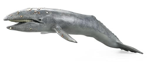 Gemini & Genius Sea Life Gray Whale, Large Grey Whale Realistic Wildlife Toy Replica Hand Painted Whale Figurine, Ocean Model Toy, Educational, Role Play, Swim, Bath and Collectors for Kids | Replica Hand Painted Whale Figurine, Ocean Model Toy, Education