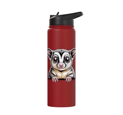 Sugar Glider Cute Peeking Marsupial Funny Animals Stainless Steel Insulated Water Bottle - color: Red