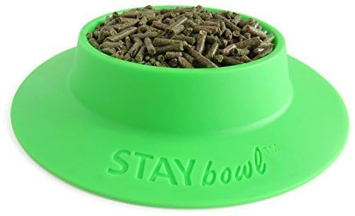 Tip-Proof Bowl for Guinea Pigs and Other Small Pets - Spring Green - Large 3/4 Cup Size New - size: Large