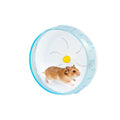 WishLotus Silent Running Wheel - Small Pet Exercise Toy and Cage Accessory for Hamster, Golden Silk Shih Tzu, Bear (Blue,18cm) - color: blue,18cm