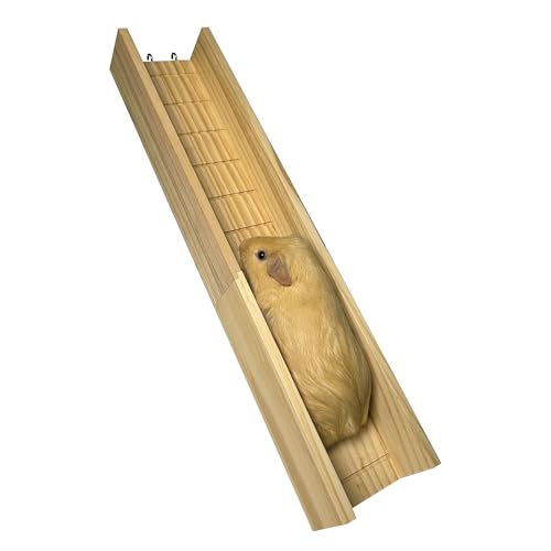 Guinea Pig Cage Bridge, Small Animal Wooden Ladder Ramp, Guinea Pig Cage Accessories Second Floor Link Bridge for Guinea Pigs, Ferrets, Hamsters (60CM/23.6IN) - size: 23.6 IN