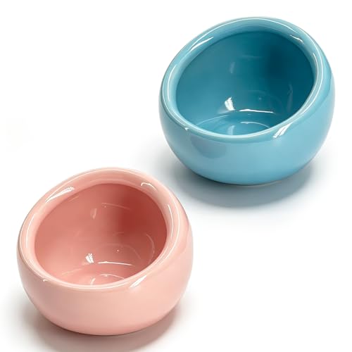 Hamster Food Bowl 2 Packs, Ceramic Slanted Bowl Food Dish Water Bowl for Dwarf Hamster Gerbil Mouse Rat Chinchilla Hedgehog Guinea Pig, Blue and Pink