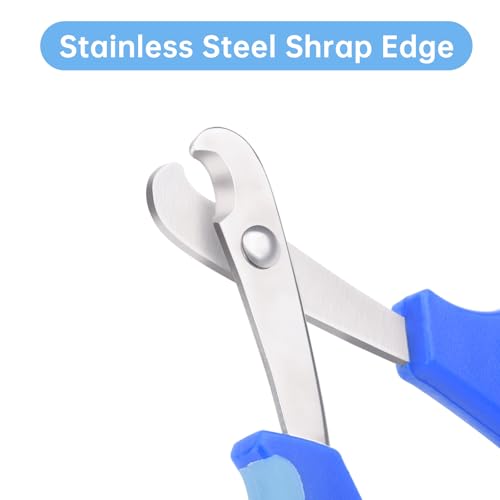 KEUYE Bearded Dragon Nail Clippers,Stainless Steel Bearded Dragon Toe Nail Clippers with Precise Angled Edges (Blue) - color: Blue