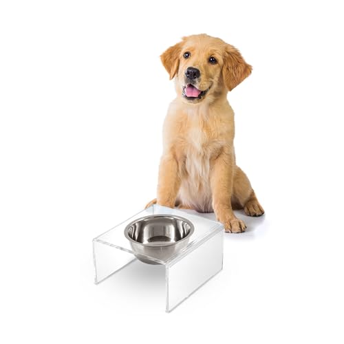 DBL2002A Keaton 5" Small/Medium Modern Acrylic Rectangular Elevated Pet Feeder with 20oz 1-Stainless Steel Bowl, Clear/Chrome - color: Clear/Chrome, size: 20 Ounces (5" Cups 1-Pack)