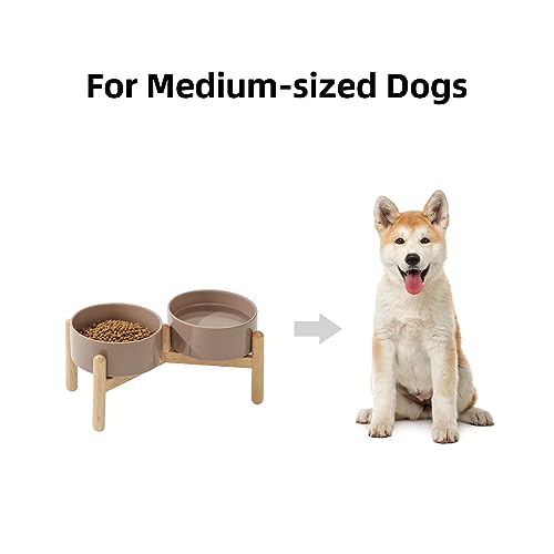 Havniva Elevated Dog Bowls Ceramic Dog Bowls with Stand, Dog Food Bowl | 6.1” Raised Dog Bowls with Non-Slip Wood Stand, Dog Food and Water Bowl Set, Double Dog Feeding Bowls for Small & Medium Dogs - color: 2 Bowls+Stand - Brown Coffee, size: 6.1inch