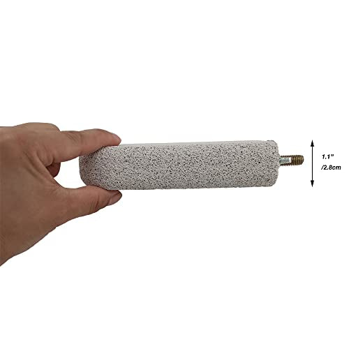 Shelltech Pumice Lava Ledge for Birds, Chinchillas, Hamsters, Parrots - Teeth & Beak Grinding Block - 1 Pack