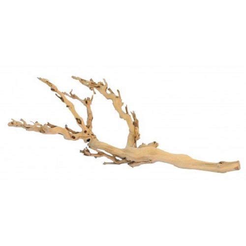 Exo Terra Forest Branch, Medium - size: Medium