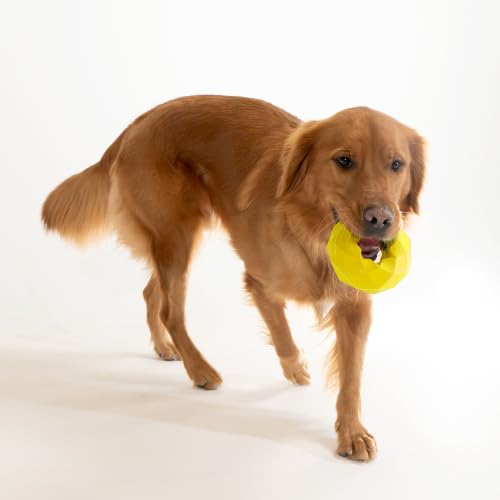 Playology Channel Ring Dog Chew Toy for Large Dogs - Jumbo, Chicken Scent | Large Breeds, Moderate Chewers, Indoor Outdoor Use, Easy Rinse Clean