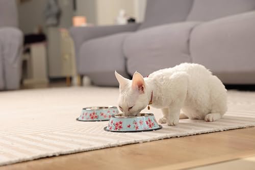 Stainless Steel Dog Bowls, Food and Water Non Slip Anti Skid Stackable Pet Puppy Dishes for Small, Medium and Large Dogs (2 Pack) - color: Sakura, size: ¾ Cup/7 oz