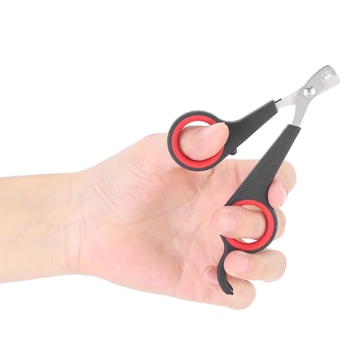 Bird Nail Clippers, Stainless Steel Small Animal Nail Clippers, Half Moon Pet Nail Scissors, Plastic Handle Pet Nail Clipper Scissors, Clipper Bird Grooming for Small Parrot Birds