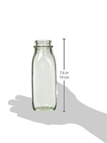 Lixit® Heavy Duty Glass Replacement Bird and Small Animal Water Bottle (Clear, 16 Ounce) - size: 16-Ounce