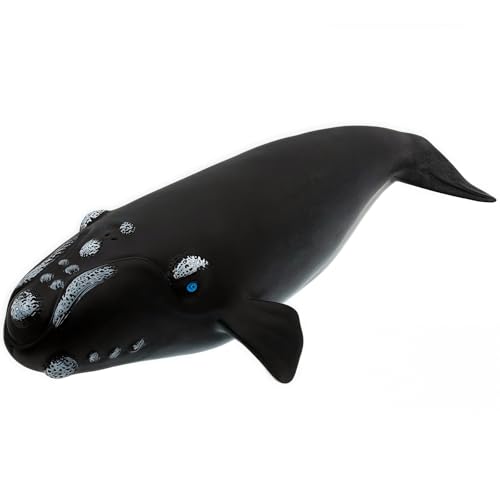 Gemini&Genius Right Whale Action Figure, Shark Animal Ocean Blackfish, Soft Rubber Ocean Whale Shark, Great for Kids Bath Swimming Beach and Cake Toppers Toys - color: Right Whale