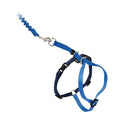 PetSafe Come with Me Kitty Harness and Bungee Cat Leash, Royal Blue, Large | Adjustable 2-Point Fit Applies Gentle Pressure to Shoulders, Not Neck, for Average and Large Cats with 13 in - 18 in Girth - color: Royal Blue, size: Large (Pack of 1)