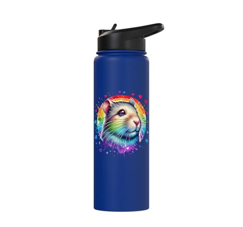 Degu Stainless Steel Insulated Water Bottle - color: Royal Blue