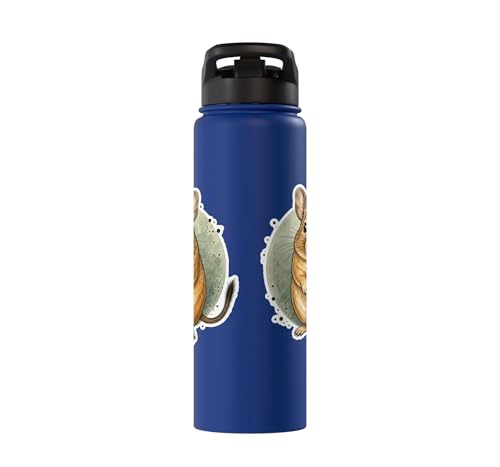 Degu Watercolor Circle Stainless Steel Insulated Water Bottle - color: Royal Blue