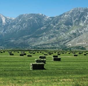 Blue Mountain Hay Timothy Hay Easy Flake Feed for Small Pets, 5lb | Easy Flake Timothy Hay, High Fiber Daily Forage, Soft Leafy Texture, Supports Digestion and Dental Care, Natural Nutrition - size: 5 Pound (Pack of 1)