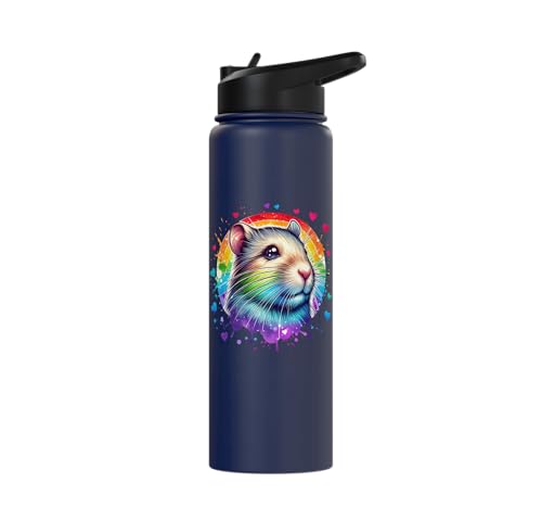 Degu Stainless Steel Insulated Water Bottle - color: Navy Blue