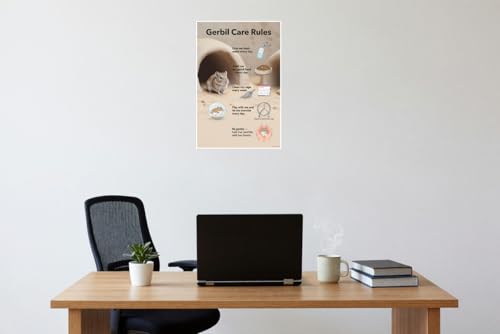 Gerbil Care Rules Educational 12x18 US Made Poster