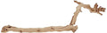 Exo Terra Forest Branch, Large - size: Large